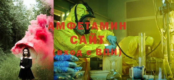 индика Абинск